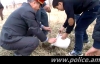 Ոստիկանություն-դպրոց: Առաջին ծանոթություն և ծառատունկ (ՏԵՍԱՆՅՈՒԹ)
