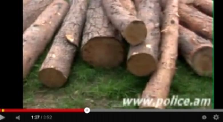 Ծառերի սպանդ և հրազենային վնասվածքներ (ՏԵՍԱՆՅՈՒԹ)  Ծառերի սպանդ և հրազենային վնասվածքներ (ՏԵՍԱՆՅՈՒԹ)