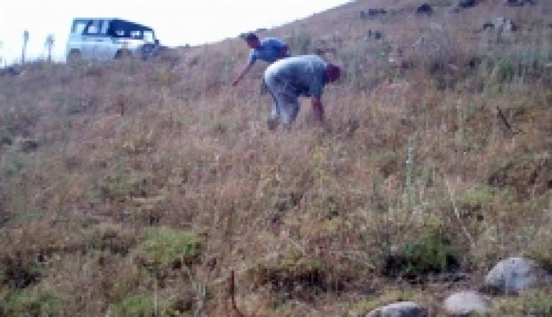 «Կանեփ-կակաչ-2014» համալիր օպերատիվ-կանխարգելիչ միջոցառման արդյունքները` 20.08.2014 թ. դրությամբ (ՏԵՍԱՆՅՈՒԹ) «Կանեփ-կակաչ-2014» համալիր օպերատիվ-կանխարգելիչ միջոցառման արդյունքները` 20.08.2014 թ. դրությամբ (ՏԵՍԱՆՅՈՒԹ)