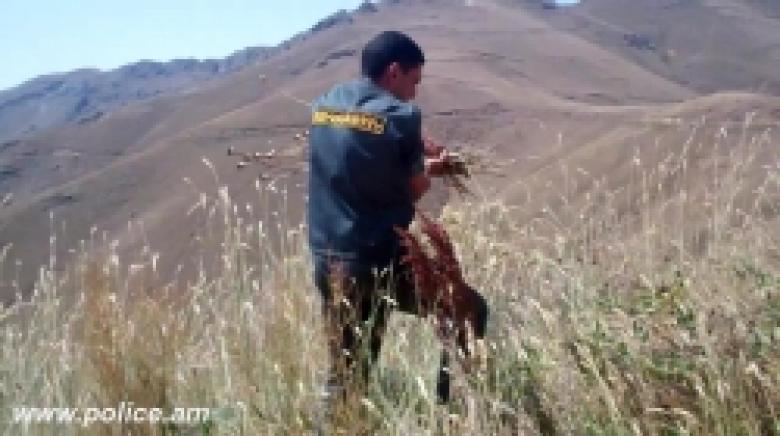 Ամփոփ տեղեկատվություն «Կանեփ-կակաչ-2014» համալիր օպերատիվ-կանխարգելիչ միջոցառման անցկացման արդյունքների վերաբերյալ (04.09.2014 թ. դրությամբ) Ամփոփ տեղեկատվություն «Կանեփ-կակաչ-2014» համալիր օպերատիվ-կանխարգելիչ միջոցառման անցկացման արդյունքների վերաբերյալ (04.09.2014 թ. դրությամբ)