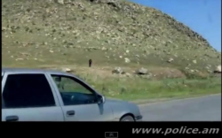 Զովաշեն գյուղից կատարված անասնագողության հետքերով (ՏԵՍԱՆՅՈՒԹ) Զովաշեն գյուղից կատարված անասնագողության հետքերով (ՏԵՍԱՆՅՈՒԹ)