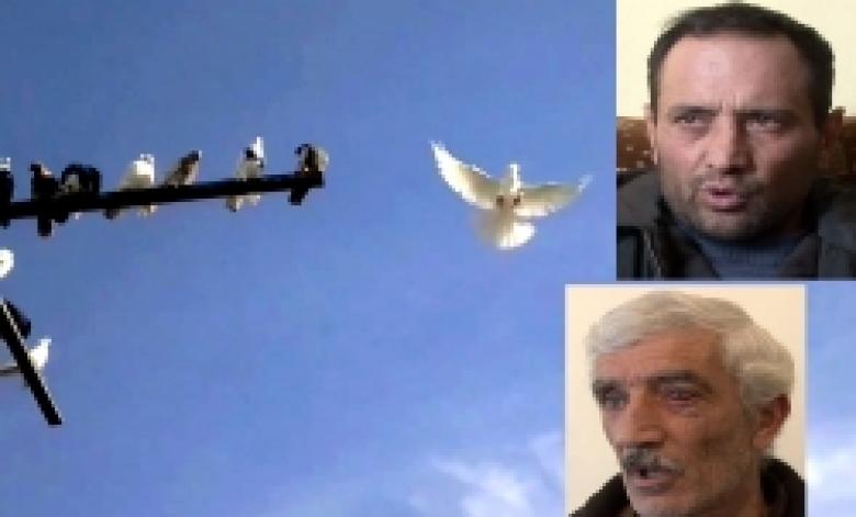 Դանակահարություն՝ մոլորված աղավնու պատճառով (ՏԵՍԱՆՅՈՒԹ) Դանակահարություն՝ մոլորված աղավնու պատճառով (ՏԵՍԱՆՅՈՒԹ)