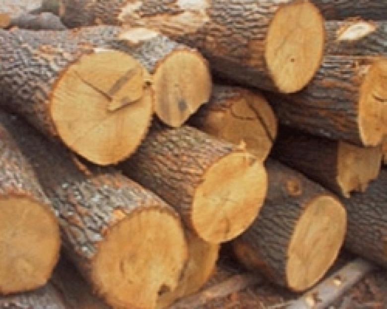 Ամփոփ տեղեկատվություն՝ ոստիկանության Տավուշի մարզային վարչության և ենթակա բաժիների կողմից 2017թ. հուլիսի 15-ից մինչև օգոստոսի 3-ն ընկած ժամանակահատվածում ապօրինի փայտանյութի դեմ տարված աշխատանքների վերաբերյալ Ամփոփ տեղեկատվություն՝ ոստիկանության Տավուշի մարզային վարչության և ենթակա բաժիների կողմից 2017թ. հուլիսի 15-ից մինչև օգոստոսի 3-ն ընկած ժամանակահատվածում ապօրինի փայտանյութի դեմ տարված աշխատանքների վերաբերյալ