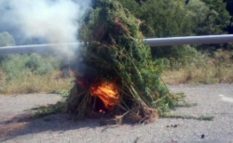 «Կանեփ-կակաչ-2017» համալիր օպերատիվ-կանխարգելիչ միջոցառման անցկացման ընթացքը (ՏԵՍԱՆՅՈՒԹ) «Կանեփ-կակաչ-2017» համալիր օպերատիվ-կանխարգելիչ միջոցառման անցկացման ընթացքը (ՏԵՍԱՆՅՈՒԹ)