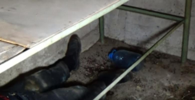 Սպանության դեպք է բացահայտվել։ Մի հոգի ձերբակալվել է (ՏԵՍԱՆՅՈՒԹ) Սպանության դեպք է բացահայտվել։ Մի հոգի ձերբակալվել է (ՏԵՍԱՆՅՈՒԹ)