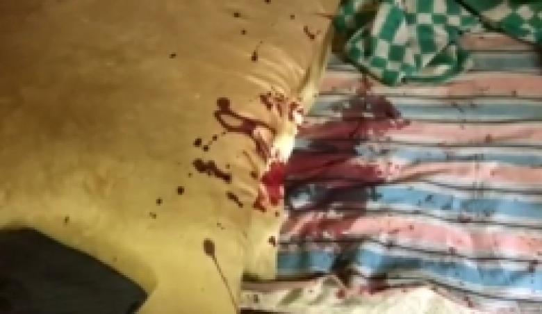 Դանակահարություն Շենգավիթում․ քրեական հետախույզները բացահայտել են հանցագործությունը (ԼՈՒՍԱՆԿԱՐՆԵՐ) Դանակահարություն Շենգավիթում․ քրեական հետախույզները բացահայտել են հանցագործությունը (ԼՈՒՍԱՆԿԱՐՆԵՐ)