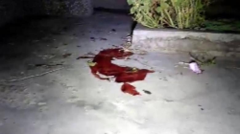 Վեճ և կրակոցներ Մալաթիայում (ՏԵՍԱՆՅՈՒԹ, ԼՈՒՍԱՆԿԱՐՆԵՐ) Վեճ և կրակոցներ Մալաթիայում (ՏԵՍԱՆՅՈՒԹ, ԼՈՒՍԱՆԿԱՐՆԵՐ)