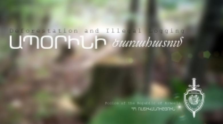 Հաղարծինում ապօրինի հատվել է հաճարենի Հաղարծինում ապօրինի հատվել է հաճարենի