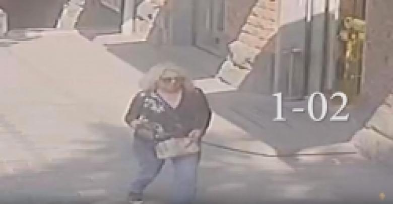 Տեսախցիկը ֆիքսել է մի կնոջ, որի ձեռքին եղել է տուժողի պայուսակը /ՏԵՍԱՆՅՈՒԹ/ Տեսախցիկը ֆիքսել է մի կնոջ, որի ձեռքին եղել է տուժողի պայուսակը /ՏԵՍԱՆՅՈՒԹ/