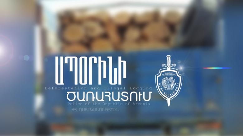 Փայտանյութով բեռնված մեքենան տեղափոխվեց հատուկ պահպանվող տարածք Փայտանյութով բեռնված մեքենան տեղափոխվեց հատուկ պահպանվող տարածք