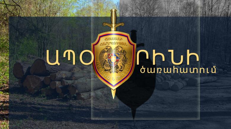 Սպիտակի ոստիկանները ապօրինի ծառահատման դեպք են բացահայտել Սպիտակի ոստիկանները ապօրինի ծառահատման դեպք են բացահայտել