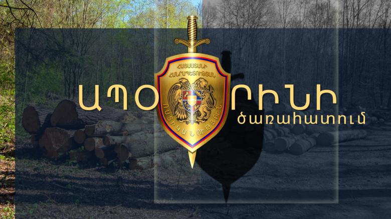 Սպիտակի ոստիկանները ապօրինի ծառահատման դեպք են բացահայտել