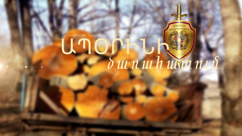 Գուգարքի ոստիկանները ապօրինի ծառահատման դեպք են բացահայտել Գուգարքի ոստիկանները ապօրինի ծառահատման դեպք են բացահայտել