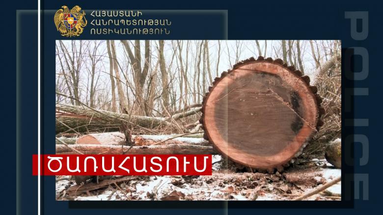 Իջևանի ոստիկանները ապօրինի ծառահատման դեպք են բացահայտել Իջևանի ոստիկանները ապօրինի ծառահատման դեպք են բացահայտել