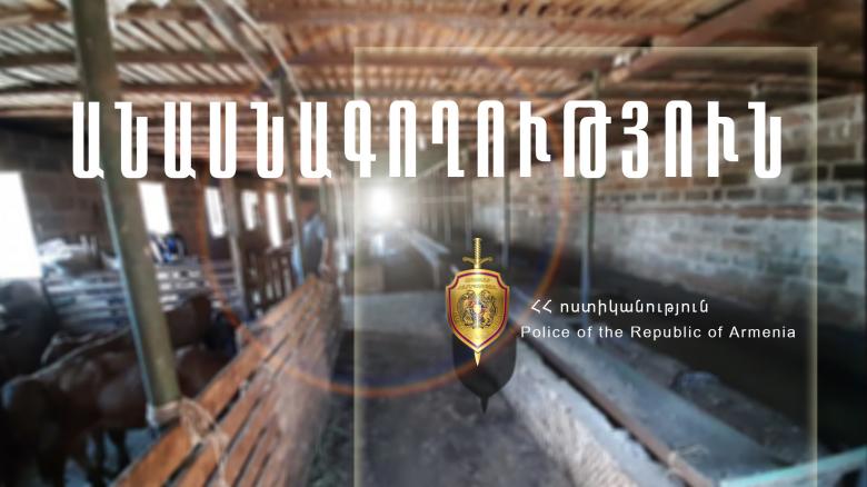 Արմավիրի ոստիկանները անասնագողության դեպք են բացահայտել Արմավիրի ոստիկանները անասնագողության դեպք են բացահայտել