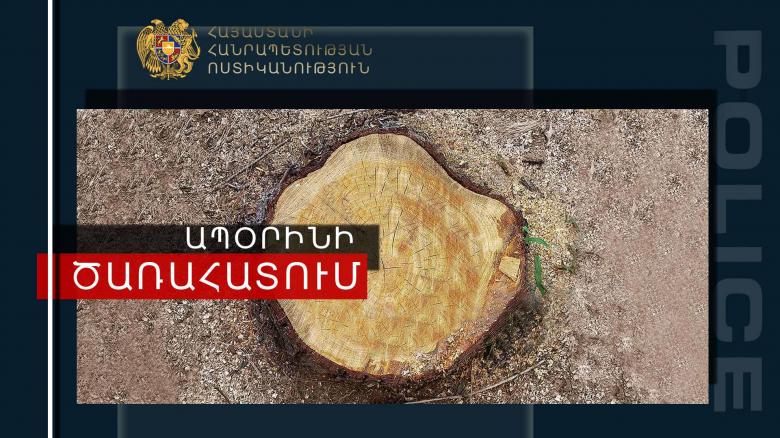 Ապօրինի ծառահատումների դեմ ոստիկանության պայքարը շարունակական է Ապօրինի ծառահատումների դեմ ոստիկանության պայքարը շարունակական է