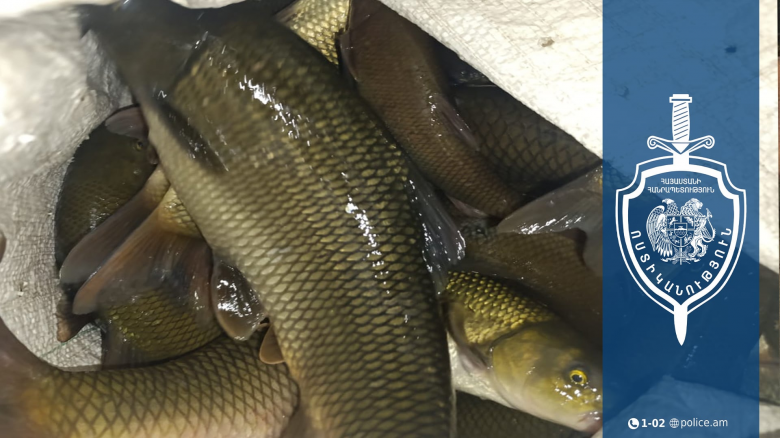 Ապօրինի որս Եղեգիս գետում. գետափցի տղամարդը ձերբակալվել է Ապօրինի որս Եղեգիս գետում. գետափցի տղամարդը ձերբակալվել է