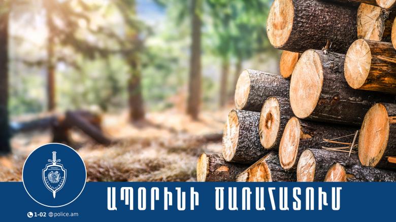 Գուգարքի համայնքային ոստիկանները ապօրինի ծառահատման դեպք են բացահայտել Գուգարքի համայնքային ոստիկանները ապօրինի ծառահատման դեպք են բացահայտել