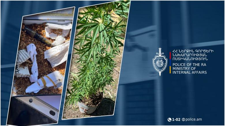 Եղեգնաձորի համայնքային ոստիկաններն ապօրինի թմրաշրջանառության դեպք են բացահայտել Եղեգնաձորի համայնքային ոստիկաններն ապօրինի թմրաշրջանառության դեպք են բացահայտել