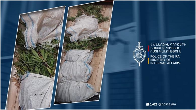 32-ամյա տղամարդը տնամերձ հողամասում կանեփ էր աճեցնում․ Ապարանի ոստիկանների բացահայտումը 32-ամյա տղամարդը տնամերձ հողամասում կանեփ էր աճեցնում․ Ապարանի ոստիկանների բացահայտումը