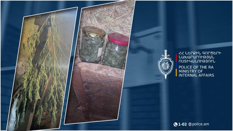 Գուսանագյուղում հայտնաբերվել է 270 գրամ մարիխուանա և կանեփի թփեր. Շիրակի քրեական ոստիկանների բացահայտումը Գուսանագյուղում հայտնաբերվել է 270 գրամ մարիխուանա և կանեփի թփեր. Շիրակի քրեական ոստիկանների բացահայտումը