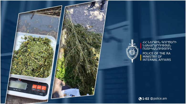 Շիրակի քրեական ոստիկանները 37-ամյա գյումրեցու խորդանոցում մոտ 1,5 կգ մարիխուանա են հայտնաբերել Շիրակի քրեական ոստիկանները 37-ամյա գյումրեցու խորդանոցում մոտ 1,5 կգ մարիխուանա են հայտնաբերել