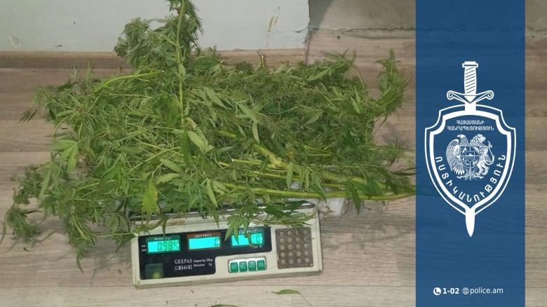 Համայնքային ոստիկանները սուրենավանցու հողամասում կանեփի բույսեր են հայտնաբերել Համայնքային ոստիկանները սուրենավանցու հողամասում կանեփի բույսեր են հայտնաբերել