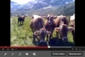 Թե ինչ եղավ հետո, երբ հովիվները հանցավոր համաձայնության եկան (ՏԵՍԱՆՅՈՒԹ) Թե ինչ եղավ հետո, երբ հովիվները հանցավոր համաձայնության եկան (ՏԵՍԱՆՅՈՒԹ)