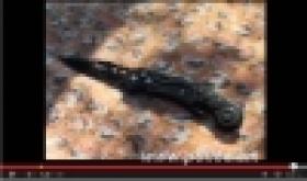 Դանակահարողի վկայությամբ` դանակահարությունը ընդհանուր լեզու չգտնելու արդյունք էր (ՏԵՍԱՆՅՈՒԹ) Դանակահարողի վկայությամբ` դանակահարությունը ընդհանուր լեզու չգտնելու արդյունք էր (ՏԵՍԱՆՅՈՒԹ)