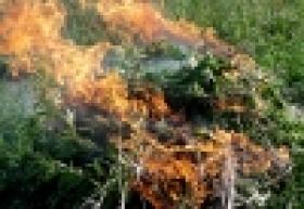 «Կանեփ-կակաչ-2014» համալիր օպերատիվ-կանխարգելիչ միջոցառման արդյունքները` 09.08.2014 թ. դրությամբ «Կանեփ-կակաչ-2014» համալիր օպերատիվ-կանխարգելիչ միջոցառման արդյունքները` 09.08.2014 թ. դրությամբ