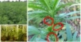 «Կանեփ-կակաչ-2014» համալիր օպերատիվ-կանխարգելիչ միջոցառման արդյունքները` 15.08.2014 թ. դրությամբ (ՏԵՍԱՆՅՈՒԹ) «Կանեփ-կակաչ-2014» համալիր օպերատիվ-կանխարգելիչ միջոցառման արդյունքները` 15.08.2014 թ. դրությամբ (ՏԵՍԱՆՅՈՒԹ)