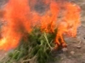 Ամփոփ տեղեկատվություն «Կանեփ-կակաչ-2014» համալիր օպերատիվ-կանխարգելիչ միջոցառման անցկացման արդյունքների վերաբերյալ (20.08.2014 թ. դրությամբ) Ամփոփ տեղեկատվություն «Կանեփ-կակաչ-2014» համալիր օպերատիվ-կանխարգելիչ միջոցառման անցկացման արդյունքների վերաբերյալ (20.08.2014 թ. դրությամբ)