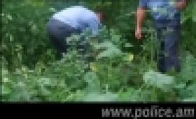 Հանրապետությունում շարունակվում են «Կանեփ-կակաչ-2014» օպերատիվ-կանխարգելիչ միջոցառման աշխատանքները (ՏԵՍԱՆՅՈՒԹ) Հանրապետությունում շարունակվում են «Կանեփ-կակաչ-2014» օպերատիվ-կանխարգելիչ միջոցառման աշխատանքները (ՏԵՍԱՆՅՈՒԹ)