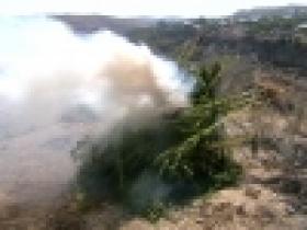 Ամփոփ տեղեկատվություն «Կանեփ-կակաչ-2014» համալիր օպերատիվ-կանխարգելիչ միջոցառման անցկացման արդյունքների վերաբերյալ` 22.08.2014 թ. դրությամբ (ՏԵՍԱՆՅՈՒԹ) Ամփոփ տեղեկատվություն «Կանեփ-կակաչ-2014» համալիր օպերատիվ-կանխարգելիչ միջոցառման անցկացման արդյունքների վերաբերյալ` 22.08.2014 թ. դրությամբ (ՏԵՍԱՆՅՈՒԹ)