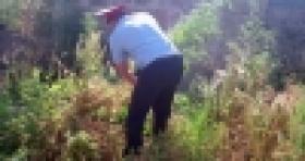 «Կանեփ-կակաչ-2014» համալիր օպերատիվ-կանխարգելիչ միջոցառումը շարունակվում է (ՏԵՍԱՆՅՈՒԹ) «Կանեփ-կակաչ-2014» համալիր օպերատիվ-կանխարգելիչ միջոցառումը շարունակվում է (ՏԵՍԱՆՅՈՒԹ)