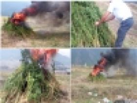 Հանրապետությունում ողջ ծավալով շարունակվում է «Կանեփ-կակաչ-2014» օպերատիվ-կանխարգելիչ միջոցառումը (արդյունքները` սեպտեմբերի 2-ի դրությամբ)  Հանրապետությունում ողջ ծավալով շարունակվում է «Կանեփ-կակաչ-2014» օպերատիվ-կանխարգելիչ միջոցառումը (արդյունքները` սեպտեմբերի 2-ի դրությամբ)