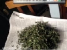 Տանը թմրամիջոց էր չորացնում (ՏԵՍԱՆՅՈՒԹ) Տանը թմրամիջոց էր չորացնում (ՏԵՍԱՆՅՈՒԹ)