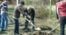 Ոստիկանության վետերաններն ու աշակերտները դպրոցի բակում 100 շիվ տնկեցին (ՏԵՍԱՆՅՈՒԹ) Ոստիկանության վետերաններն ու աշակերտները դպրոցի բակում 100 շիվ տնկեցին (ՏԵՍԱՆՅՈՒԹ)