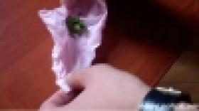 Թմրամիջոցի հյուրասիրություն Ջերմուկում (ՏԵՍԱՆՅՈՒԹ) Թմրամիջոցի հյուրասիրություն Ջերմուկում (ՏԵՍԱՆՅՈՒԹ)