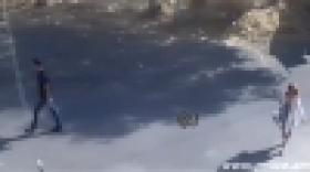 Կողոպուտ կատարողի դեմքը արձանագրել է տեսանկարահանող սարքը (ՏԵՍԱՆՅՈՒԹ) Կողոպուտ կատարողի դեմքը արձանագրել է տեսանկարահանող սարքը (ՏԵՍԱՆՅՈՒԹ)