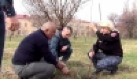 Ծառատունկ մանկատան այգում (ՏԵՍԱՆՅՈՒԹ) Ծառատունկ մանկատան այգում (ՏԵՍԱՆՅՈՒԹ)