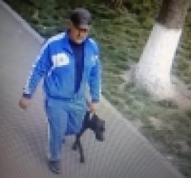 «Անգլիական պոինտեր» ցեղատեսակի շունը հայտնաբերվել է «Անգլիական պոինտեր» ցեղատեսակի շունը հայտնաբերվել է