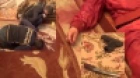 Ավազակային հարձակում Երևանի Դոդոխյան փողոցում (ՏԵՍԱՆՅՈՒԹ) Ավազակային հարձակում Երևանի Դոդոխյան փողոցում (ՏԵՍԱՆՅՈՒԹ)