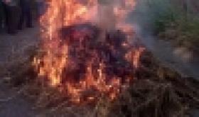 Հանրապետությունում անցկացվեց «Կանեփ-կակաչ-2016» համալիր օպերատիվ-կանխարգելիչ միջոցառումը (ՏԵՍԱՆՅՈՒԹ)  Հանրապետությունում անցկացվեց «Կանեփ-կակաչ-2016» համալիր օպերատիվ-կանխարգելիչ միջոցառումը (ՏԵՍԱՆՅՈՒԹ)