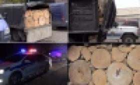 Ապօրինի անտառահատումները՝ ոստիկանության տեսադաշտում. պայքարը կրում է շարունակական բնույթ (ՏԵՍԱՆՅՈՒԹ) Ապօրինի անտառահատումները՝ ոստիկանության տեսադաշտում. պայքարը կրում է շարունակական բնույթ (ՏԵՍԱՆՅՈՒԹ)