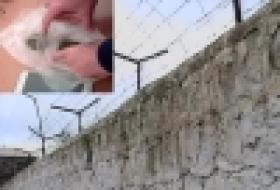 Մարիխուանան դատապարտյալին չհասավ (ՏԵՍԱՆՅՈՒԹ)  Մարիխուանան դատապարտյալին չհասավ (ՏԵՍԱՆՅՈՒԹ)