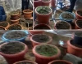 ԱՆՆԱԽԱԴԵՊ. հայտնաբերվել է կանեփի լաբորատորիա (ՏԵՍԱՆՅՈՒԹ)  ԱՆՆԱԽԱԴԵՊ. հայտնաբերվել է կանեփի լաբորատորիա (ՏԵՍԱՆՅՈՒԹ)