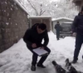 Դիակ՝ շենքի բակում: Ոստիկանները կարճ ժամանակում պարզեցին գողության փորձ կատարած և 12-րդ հարկից ընկած տղամարդու ինքնությունը (ՏԵՍԱՆՅՈՒԹ) Դիակ՝ շենքի բակում: Ոստիկանները կարճ ժամանակում պարզեցին գողության փորձ կատարած և 12-րդ հարկից ընկած տղամարդու ինքնությունը (ՏԵՍԱՆՅՈՒԹ)