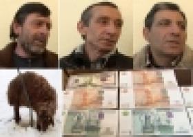 Կեղծ թղթադրամներով փորձել էին գառան միս գնել (ՏԵՍԱՆՅՈՒԹ) Կեղծ թղթադրամներով փորձել էին գառան միս գնել (ՏԵՍԱՆՅՈՒԹ)