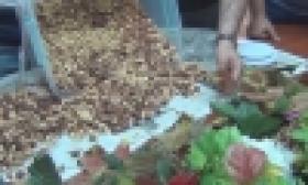 Ոստիկանությունը խոշոր չափերի հասնող թմրամիջոցի խմբաքանակ է հայտնաբերել  (ՏԵՍԱՆՅՈՒԹ) Ոստիկանությունը խոշոր չափերի հասնող թմրամիջոցի խմբաքանակ է հայտնաբերել  (ՏԵՍԱՆՅՈՒԹ)